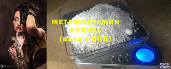 шишки Заволжье