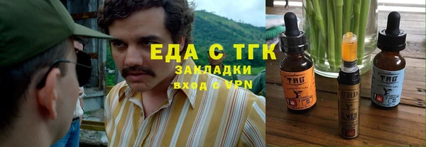 шишки Заволжье