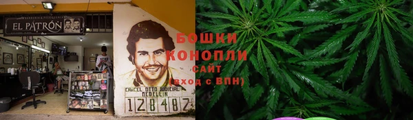 стаф Заводоуковск