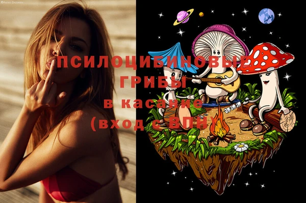 стаф Заводоуковск