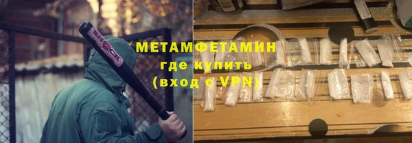 шишки Заволжье