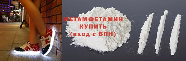 шишки Заволжье