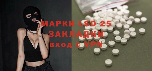 стаф Заводоуковск