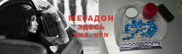 шишки Заволжье