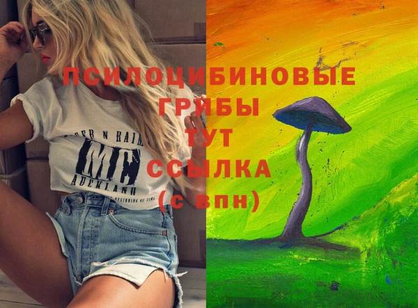 стаф Заводоуковск