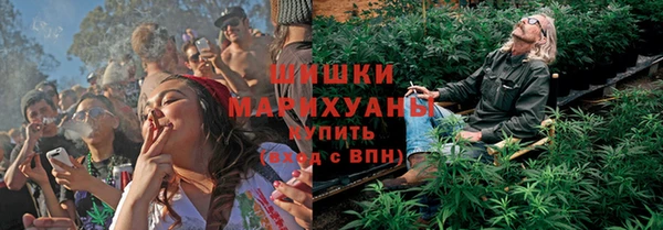 стаф Заводоуковск