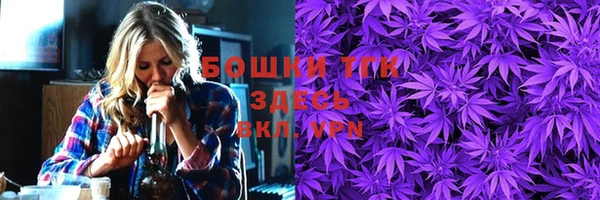 шишки Заволжье