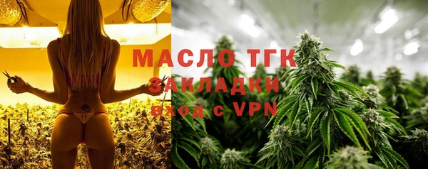 шишки Заволжье