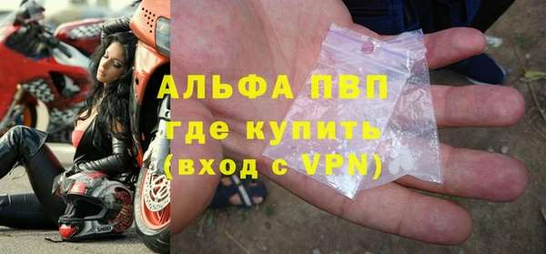 шишки Заволжье