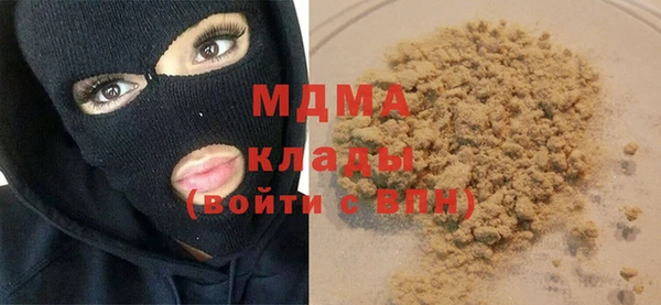 шишки Заволжье