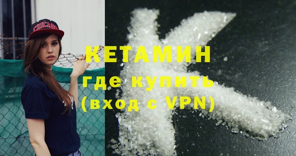 шишки Заволжье