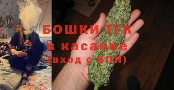стаф Заводоуковск
