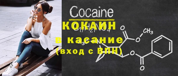 шишки Заволжье