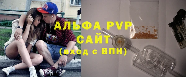 стаф Заводоуковск