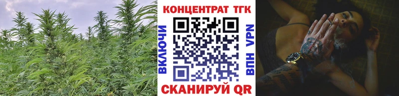 ТГК концентрат  Купить закладки  Мещовск 